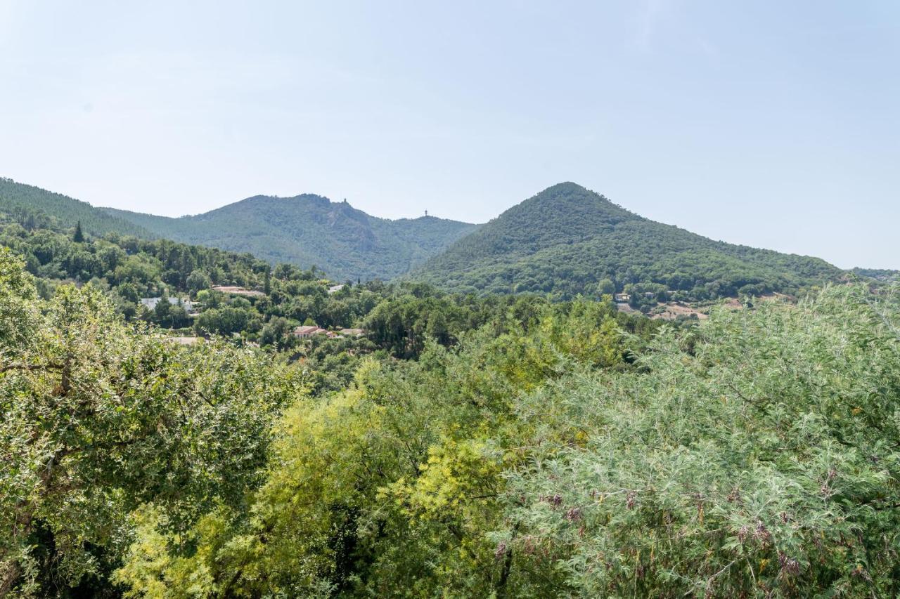 Appartement Le Petit Thao Fréjus